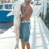 Myrtle Beach Shark Fishing
